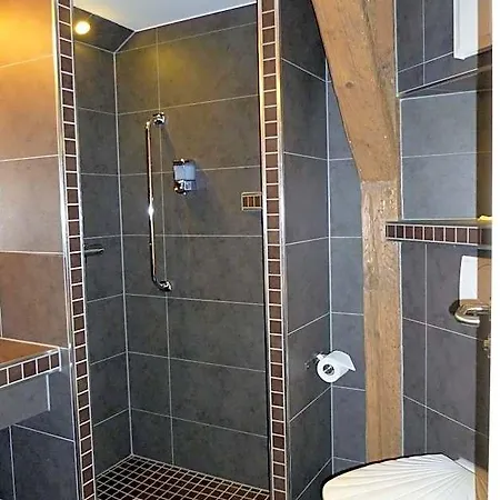 Goldener Stern פראונשטיין
