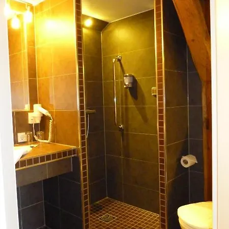 Hotell Goldener Stern Frauenstein (Saxony)