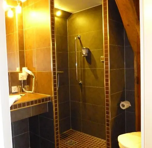 فندق Goldener Stern Frauenstein (Saxony)