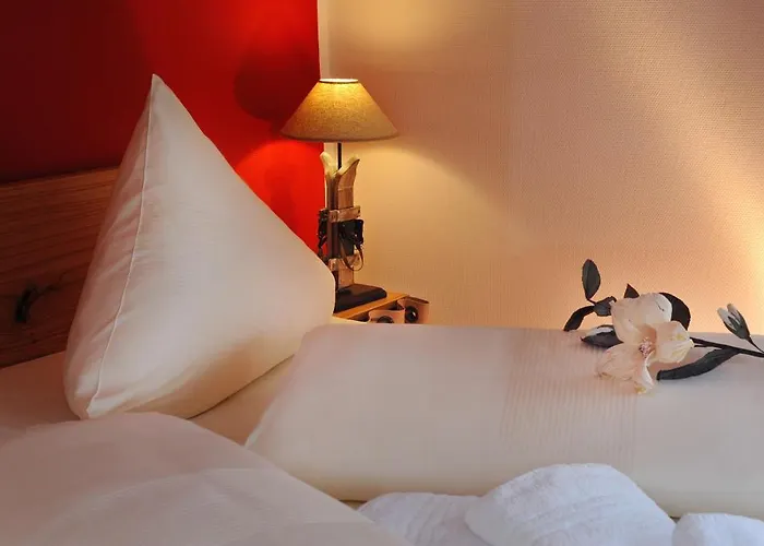 Goldener Stern فندق Frauenstein (Saxony)